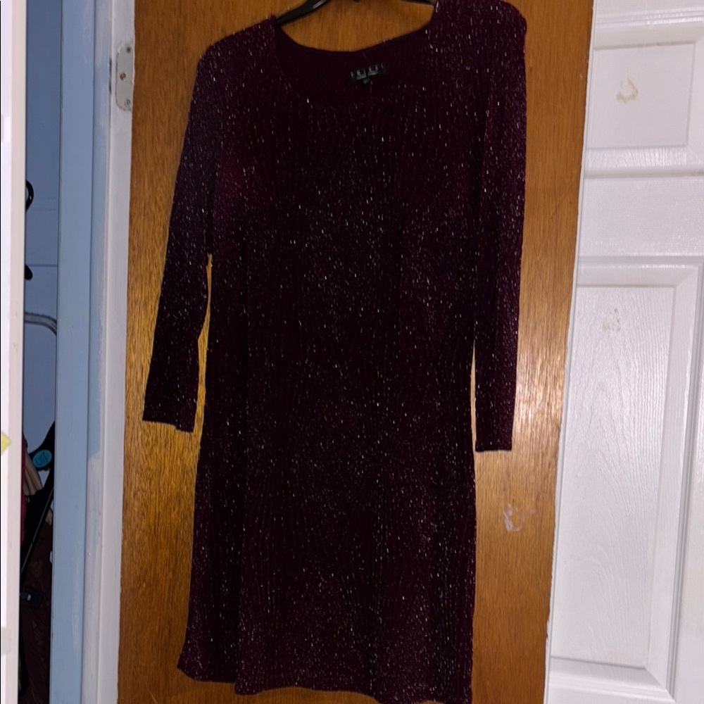 Elegant Burgundy Dress